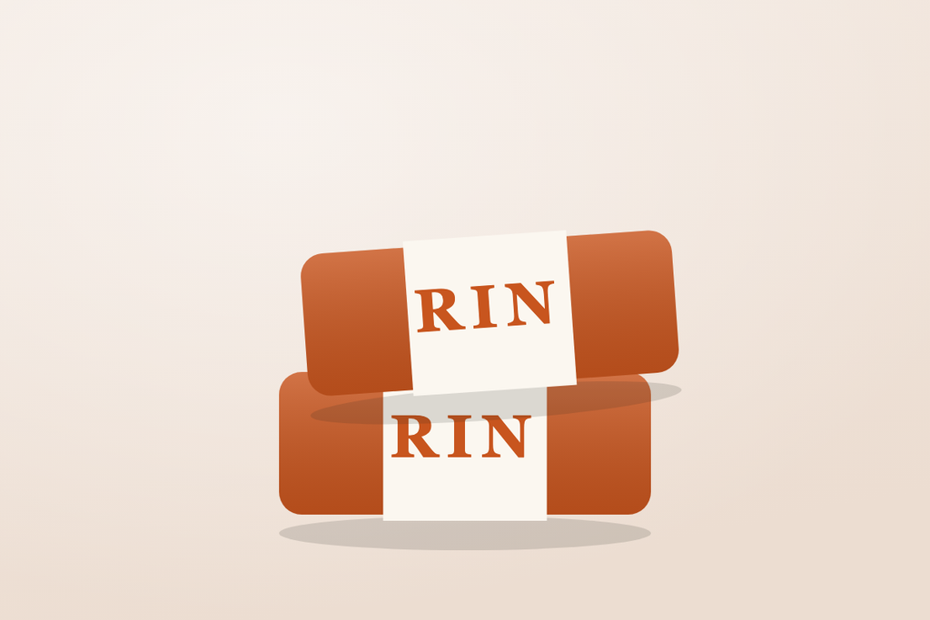 Pacchetto 2 saponette RIN